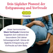 Mami Vorfreude – BIO Schwangerschaftstee (1.–3. Trimester)