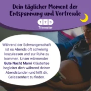Gute Nacht Mami – BIO Schwangerschaftstee