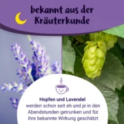 Gute Nacht Mami – BIO Schwangerschaftstee