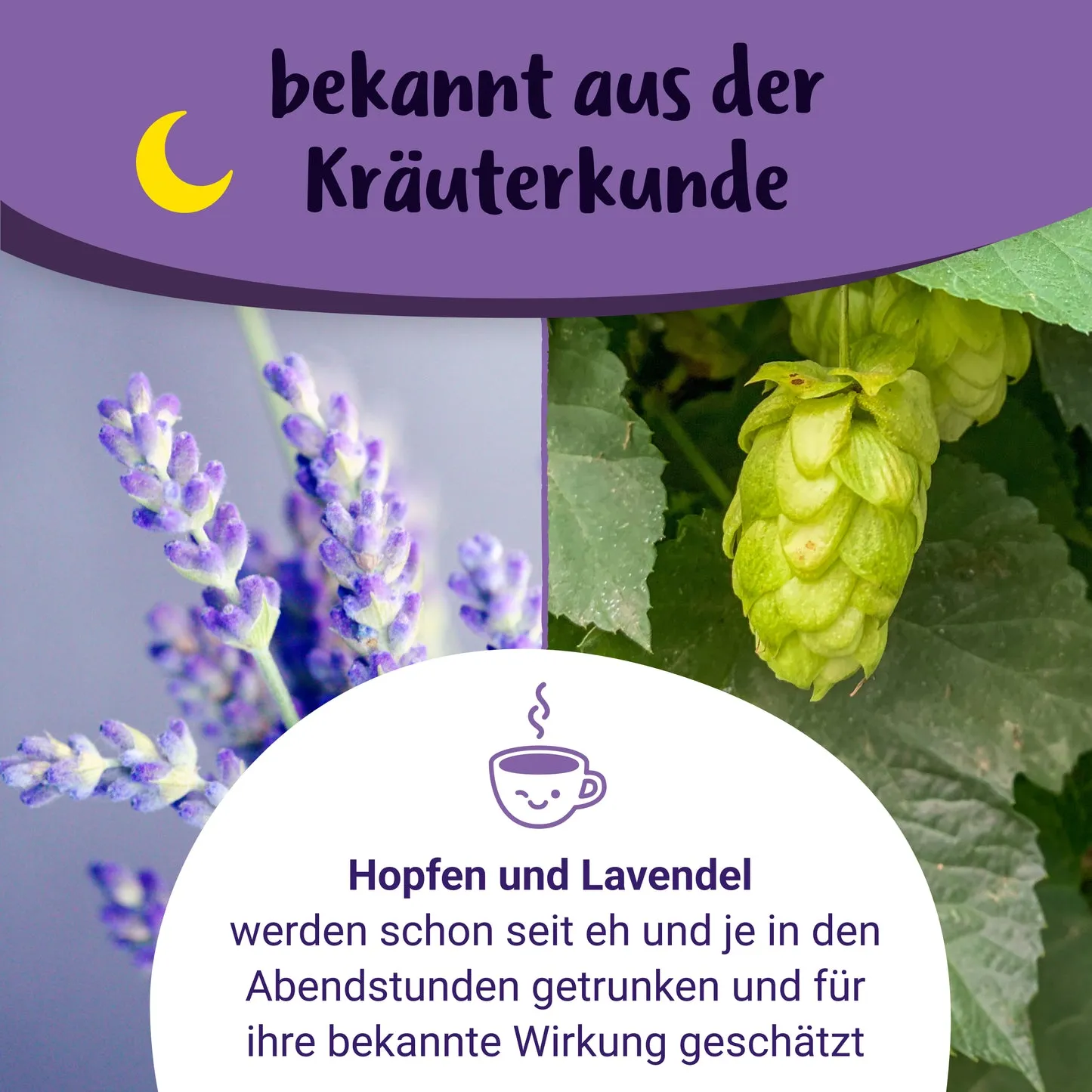 Gute Nacht Mami – BIO Schwangerschaftstee