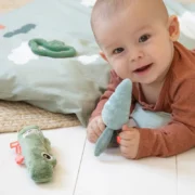 Sensorik-Spielset – Croco – Bild 2