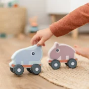 Schiebespielzeug Ozzo & Nozo – Bild 4