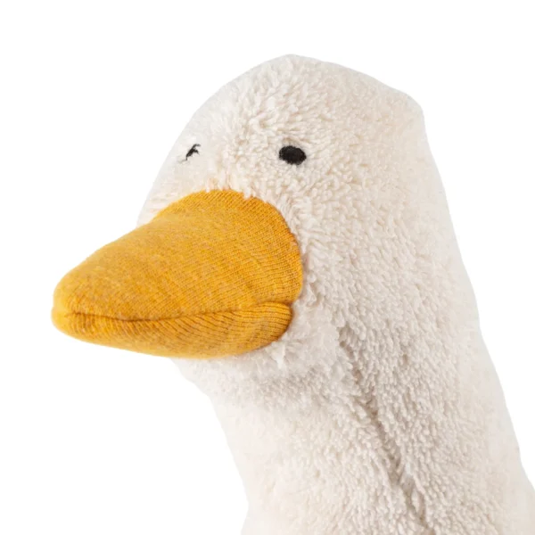 Ente