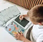 LCD-Schreibtafel mit transparentem Display