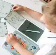 LCD-Schreibtafel mit transparentem Display